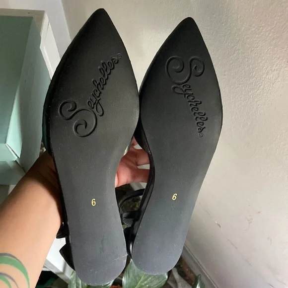 Seychelles Plateau Flat - Picture 4 of 9